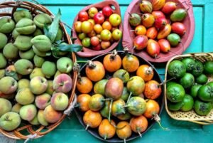 Seasonal Fruit Calendar of Kanthaloor